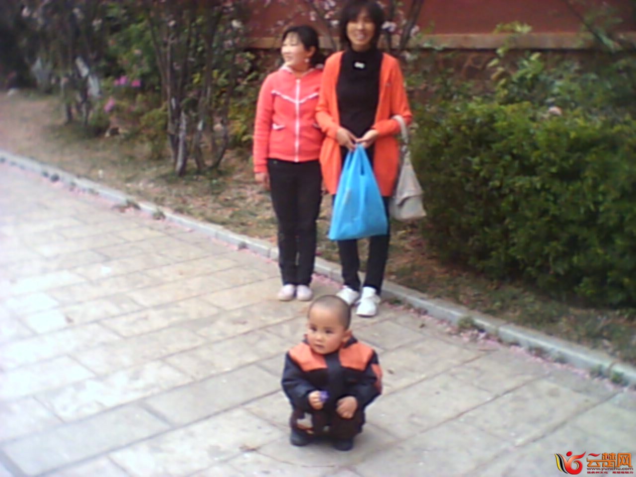 IMG10062.jpg