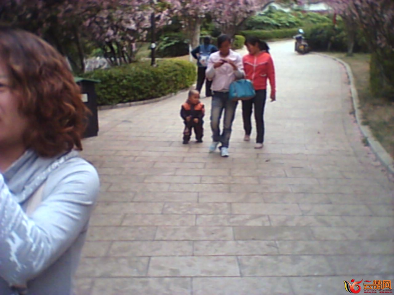 IMG10063.jpg