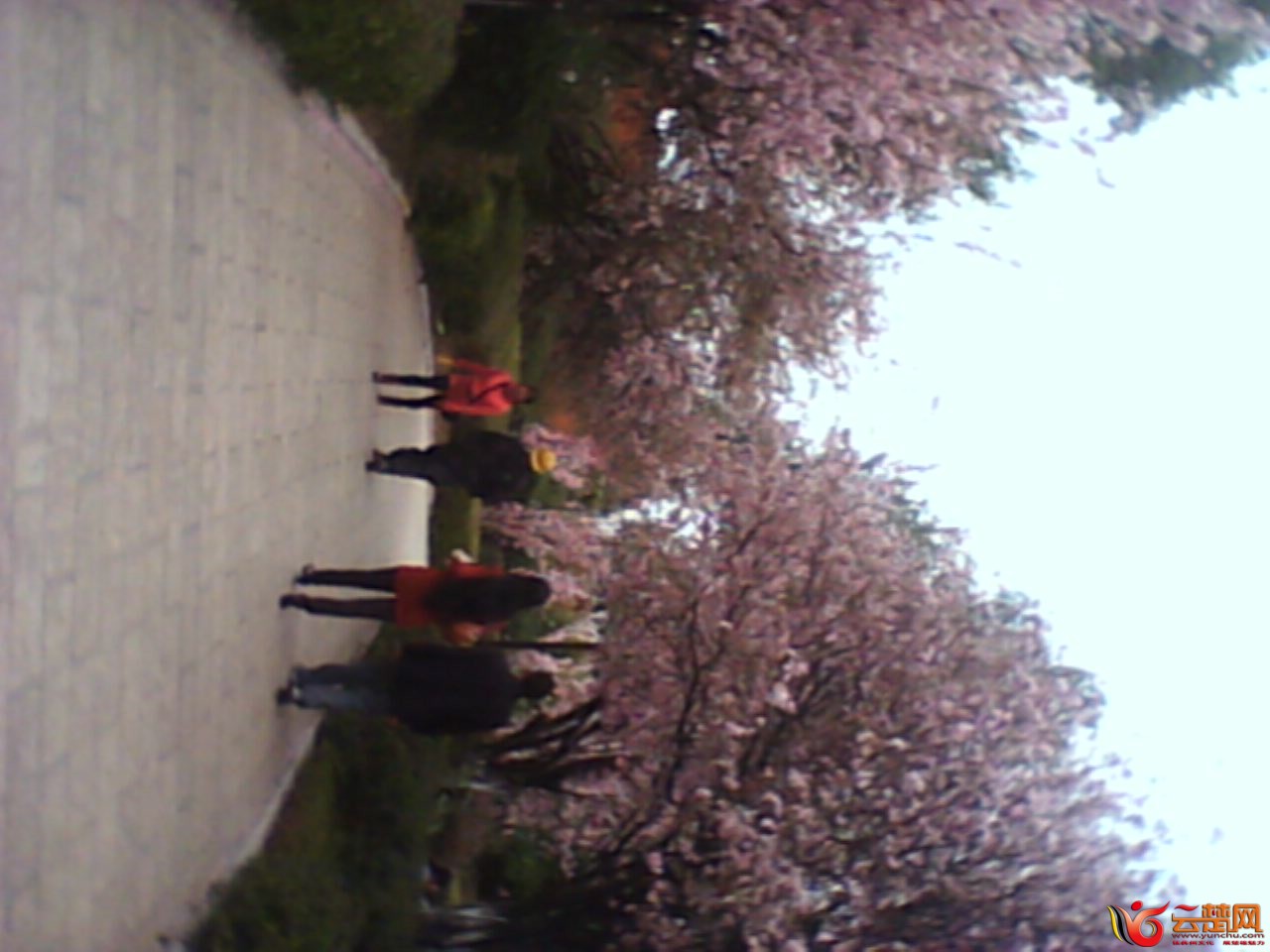 IMG10064.jpg