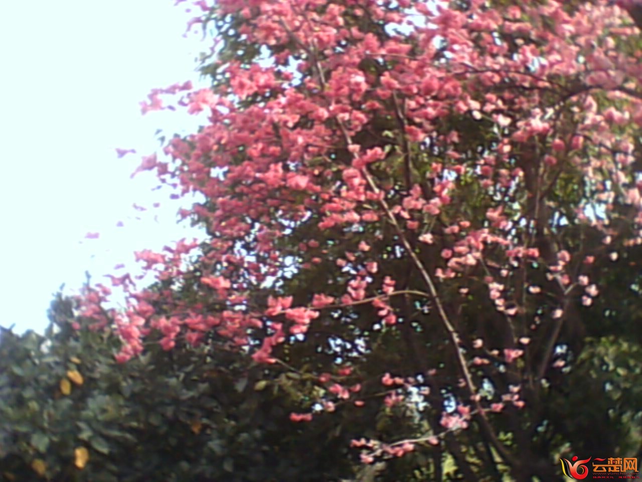 IMG10066.jpg