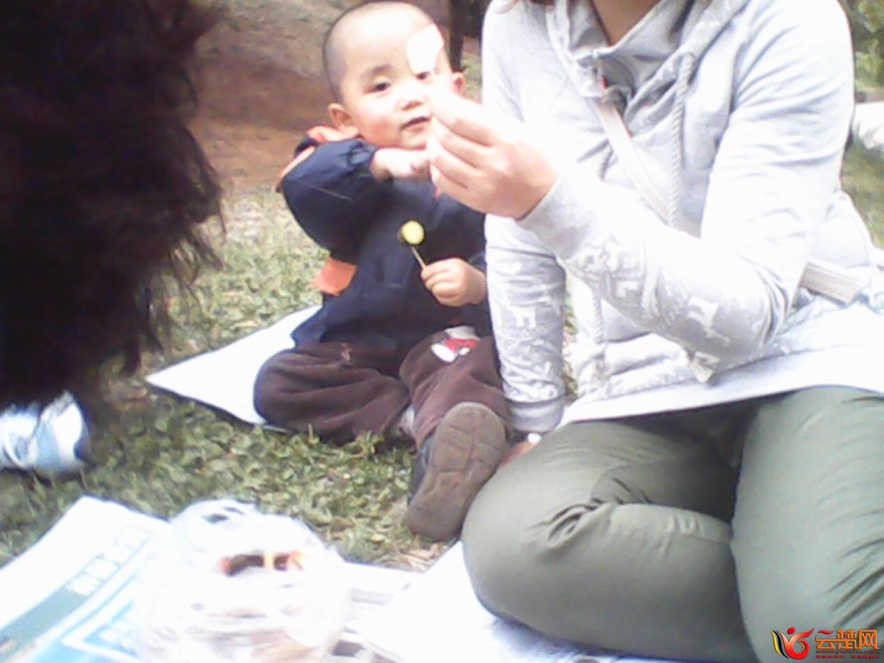 IMG10067.jpg