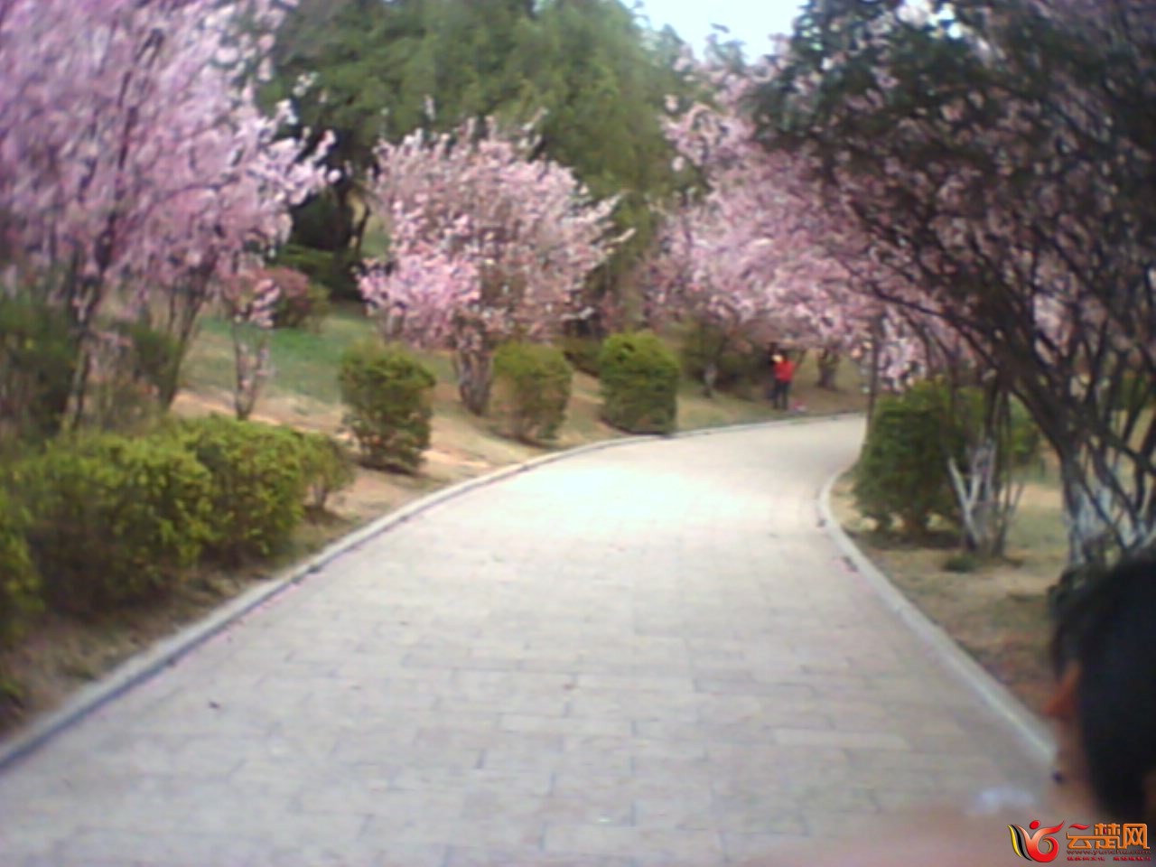 IMG10068.jpg