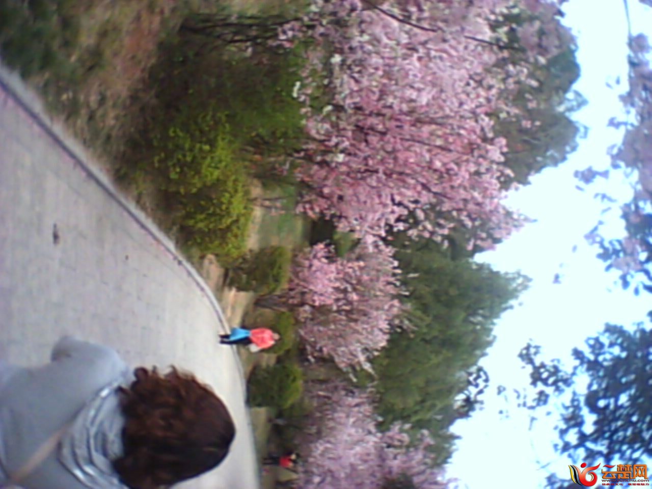 IMG10069.jpg