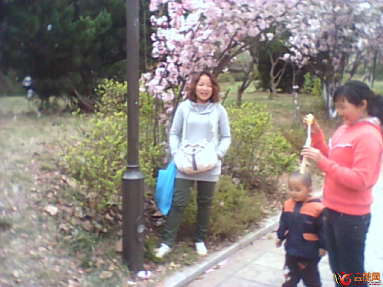 IMG10071.jpg