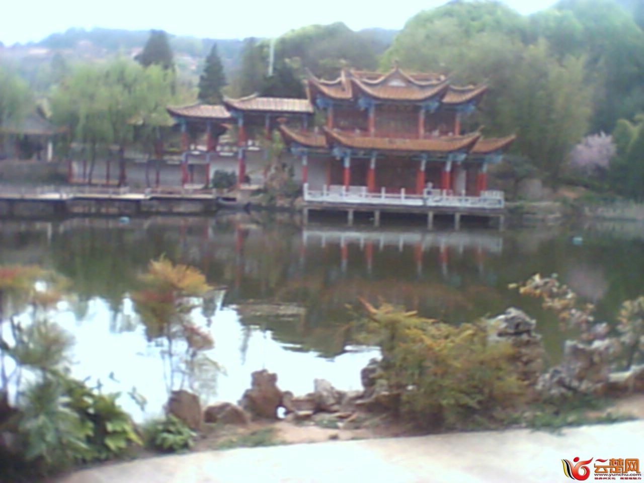 IMG10073.jpg