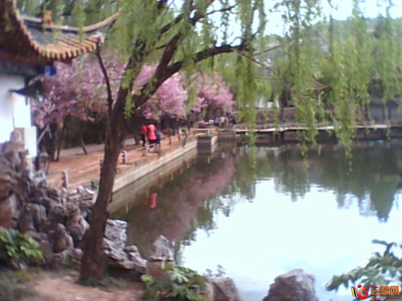 IMG10074.jpg