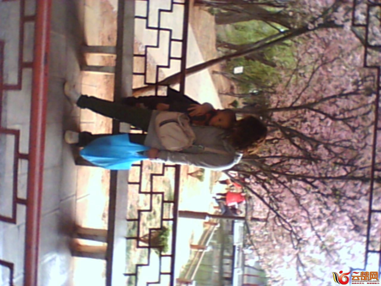 IMG10075.jpg