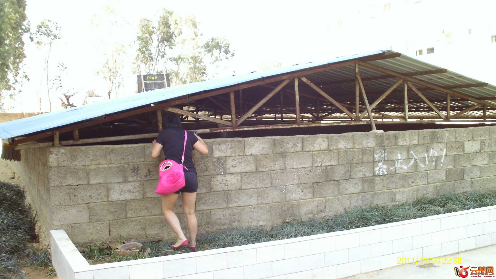 复件 (2) IMAG0515.JPG