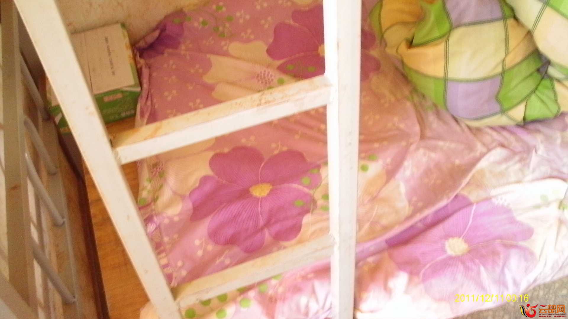 IMAG0559.JPG
