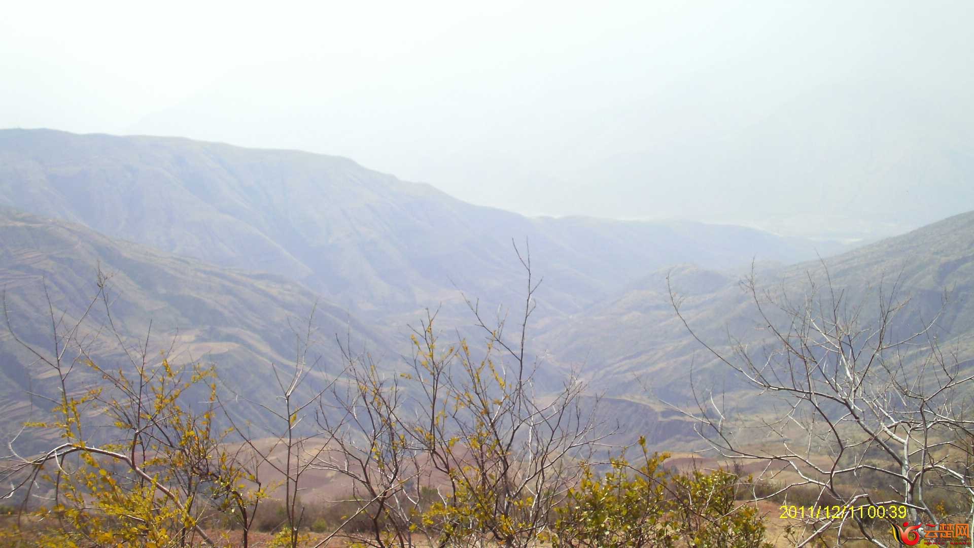 IMAG0568.JPG