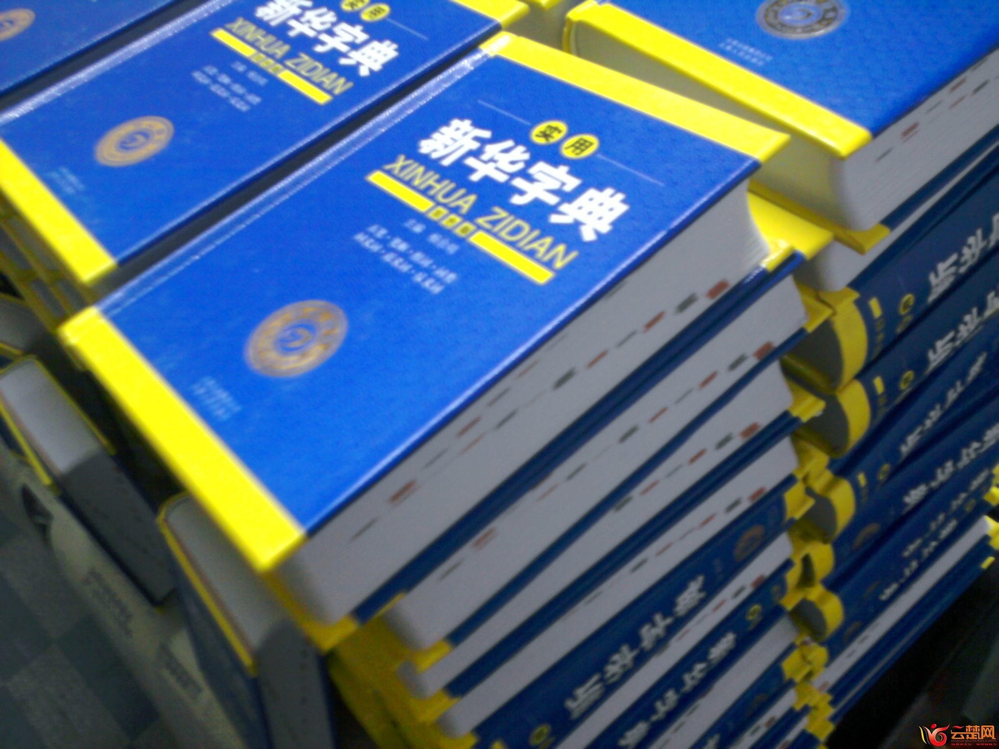 照片0255.jpg
