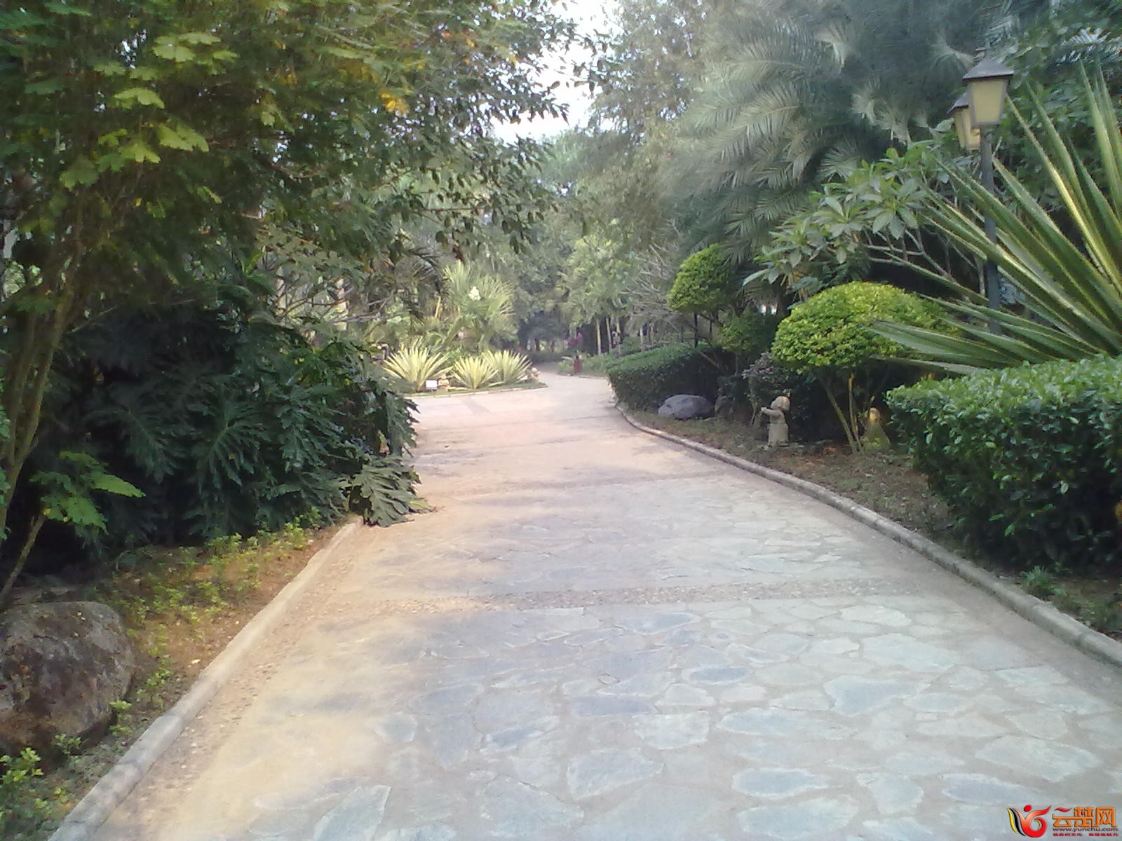 20120403071.jpg