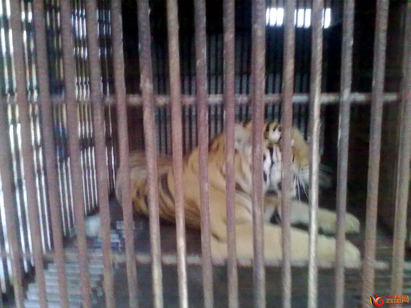 20120404074.jpg