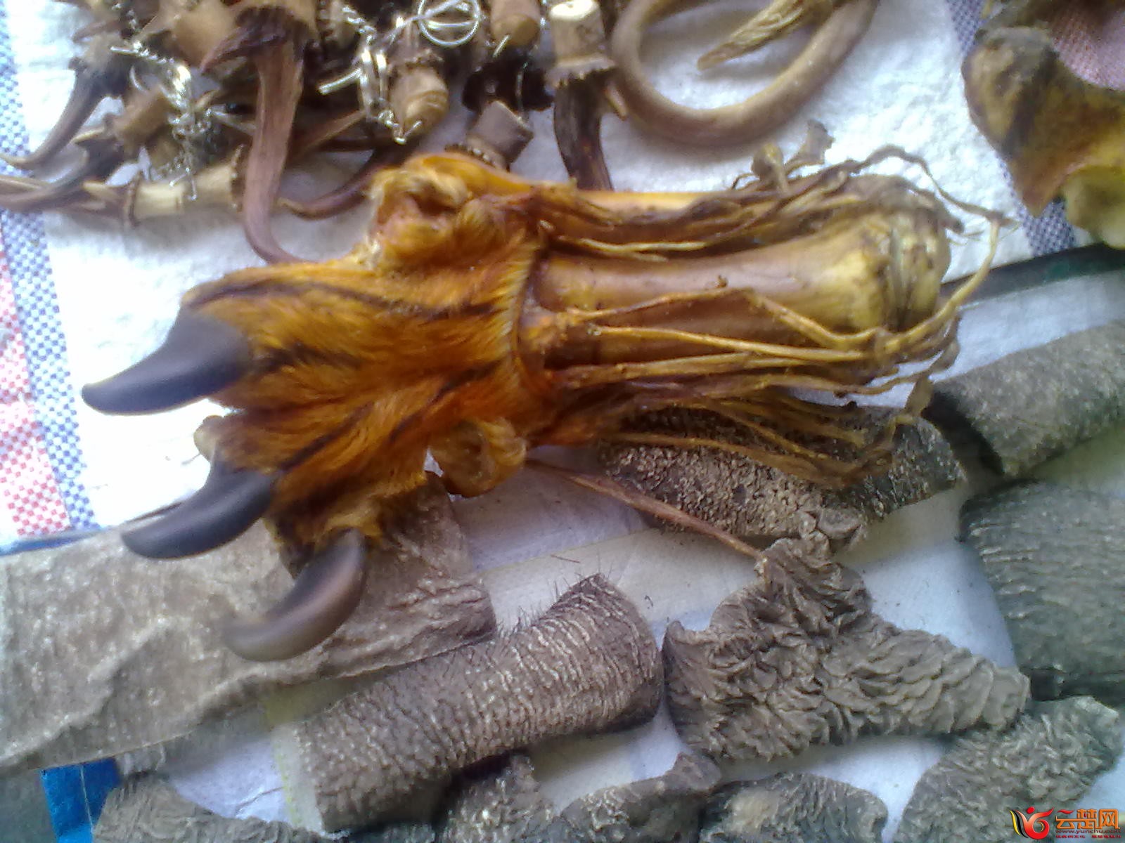 20120406078.jpg