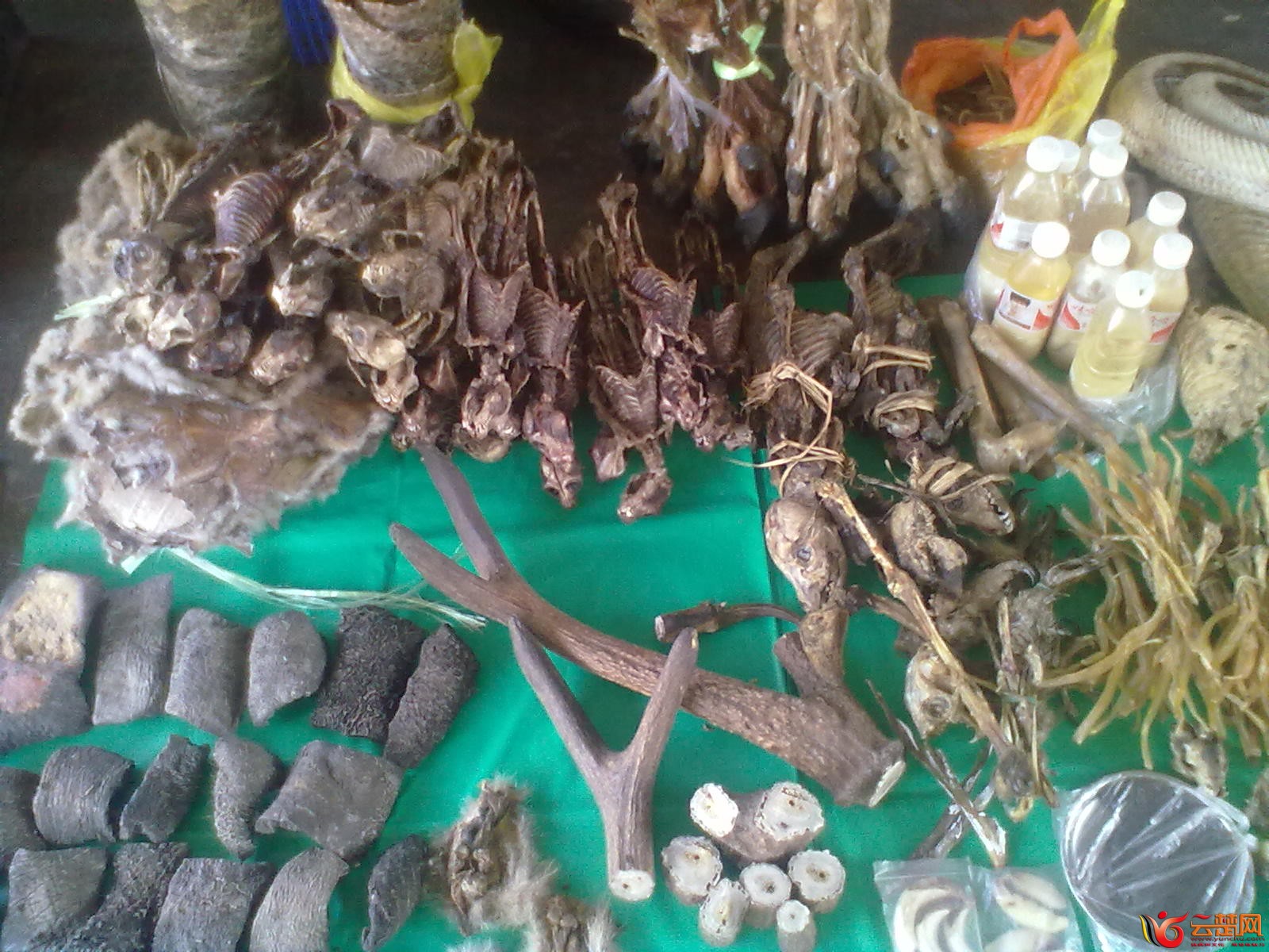 20120406079.jpg