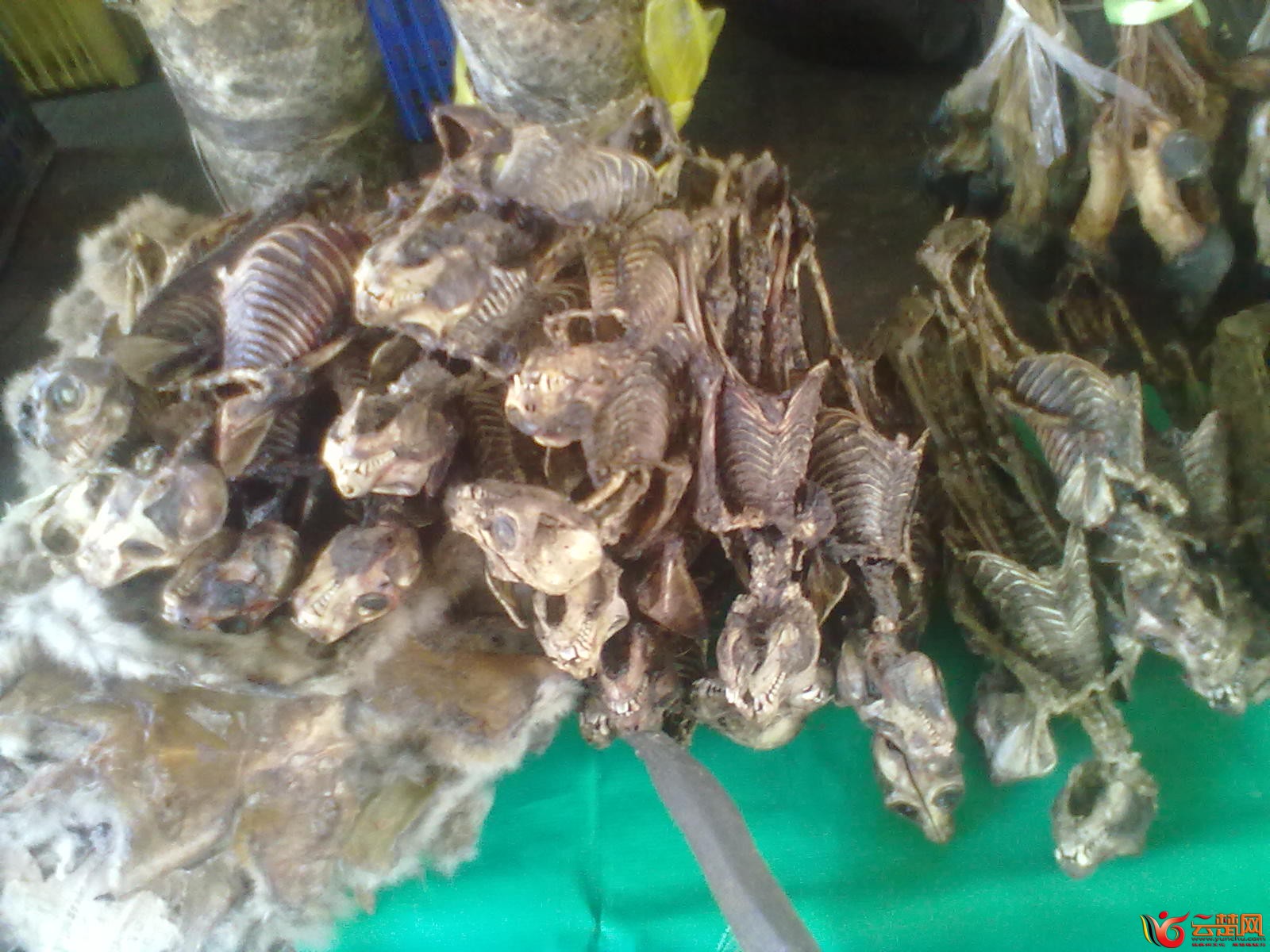 20120406080.jpg
