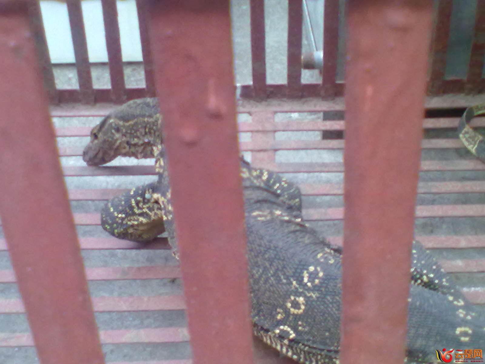 20120406082.jpg