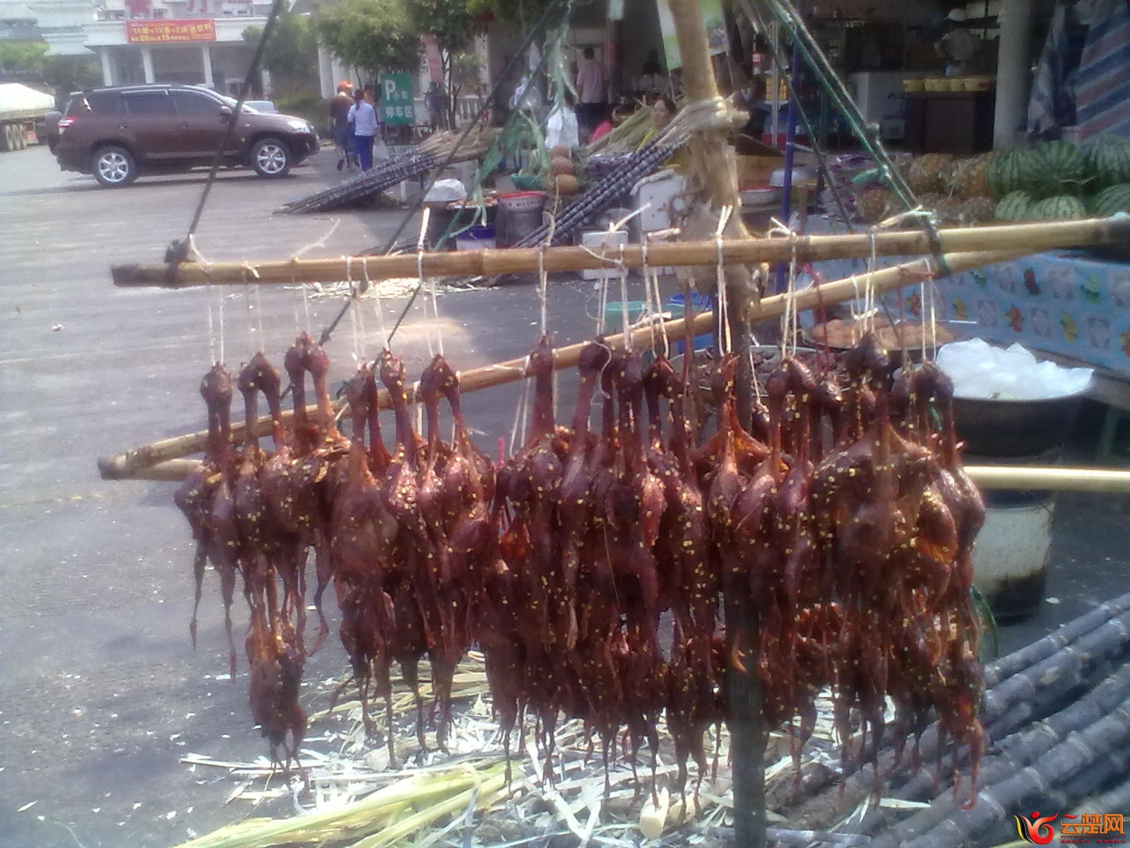 20120402063.jpg