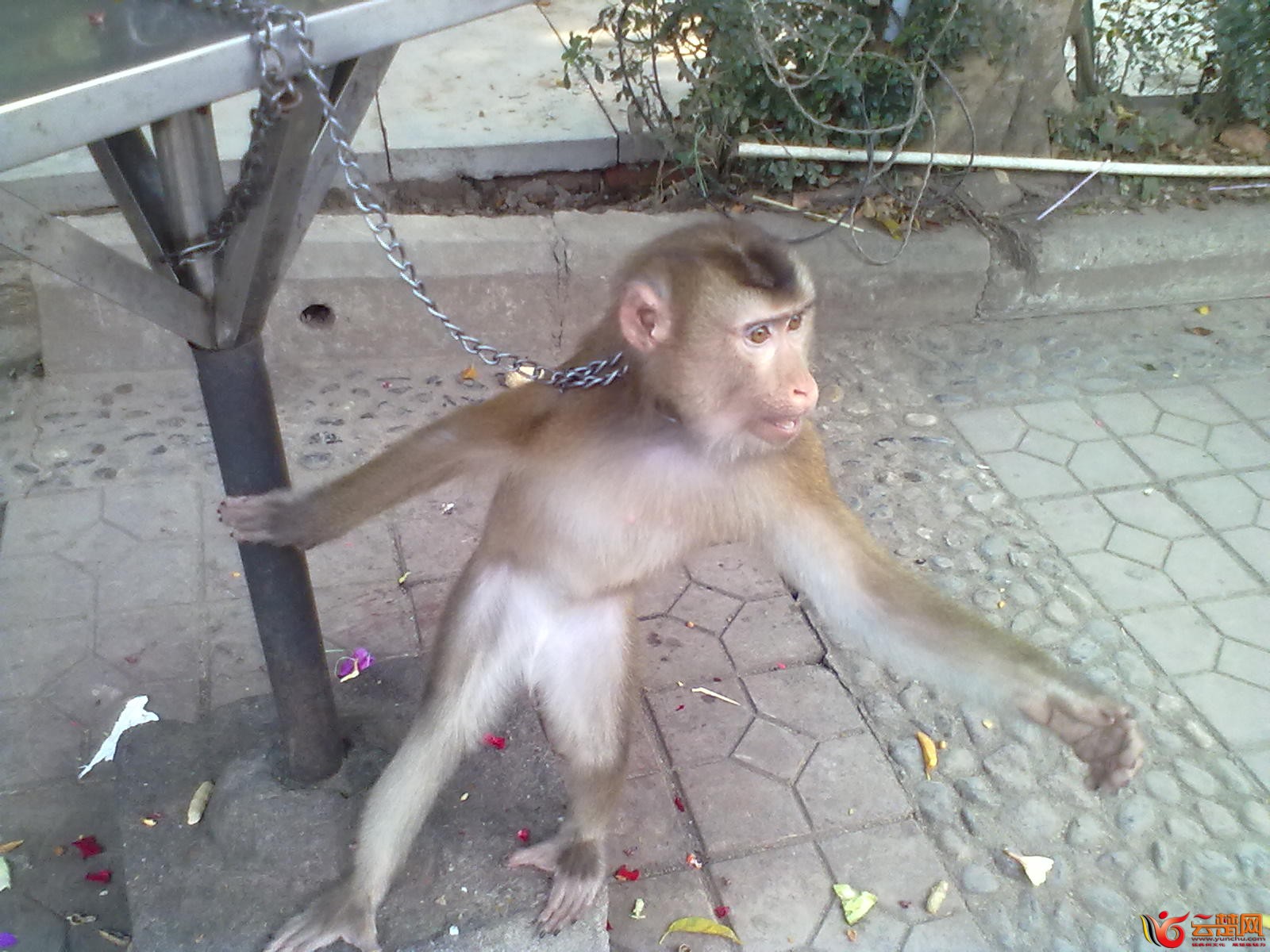 20120403064.jpg