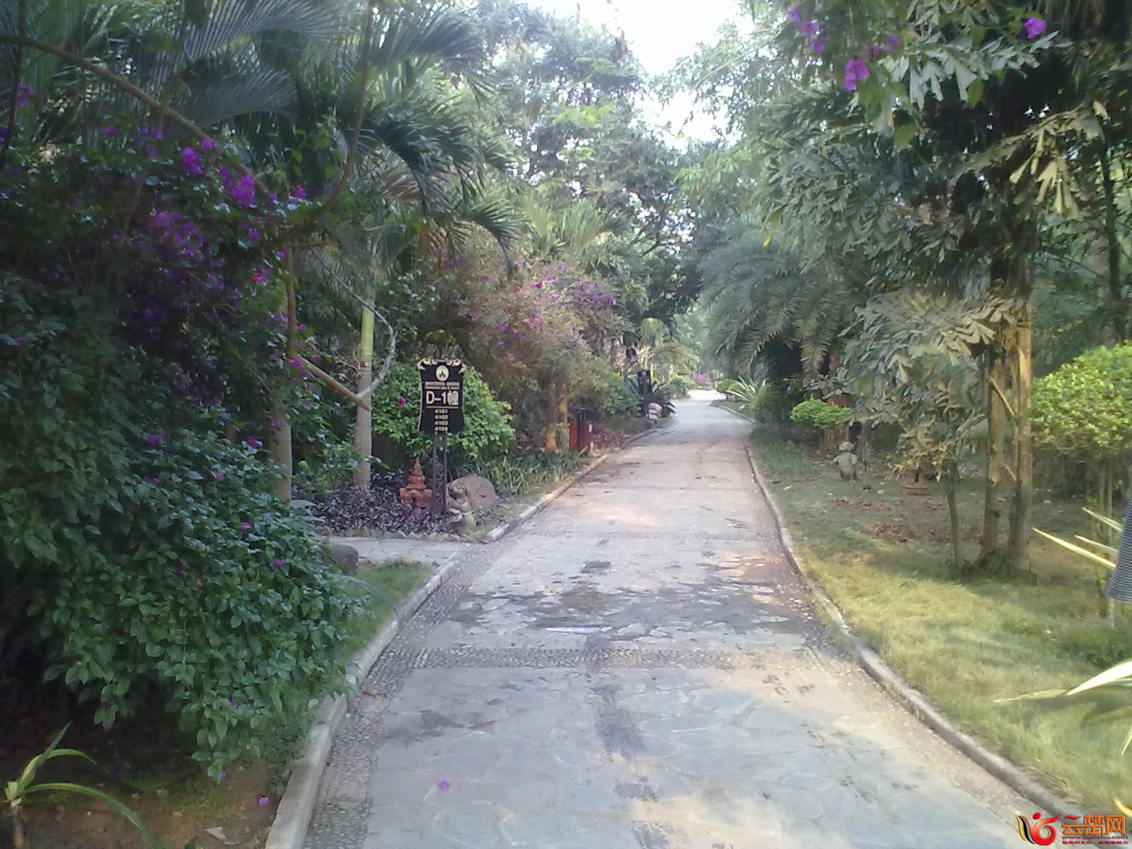 20120403072.jpg