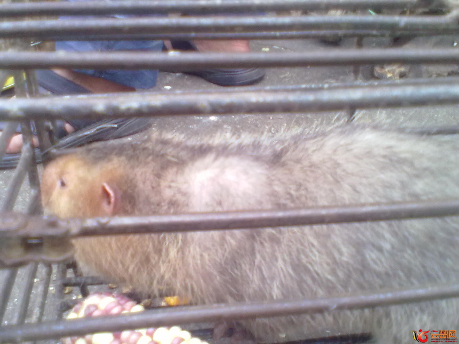 20120406076.jpg