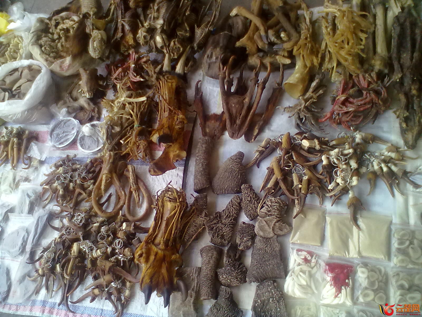 20120406077.jpg