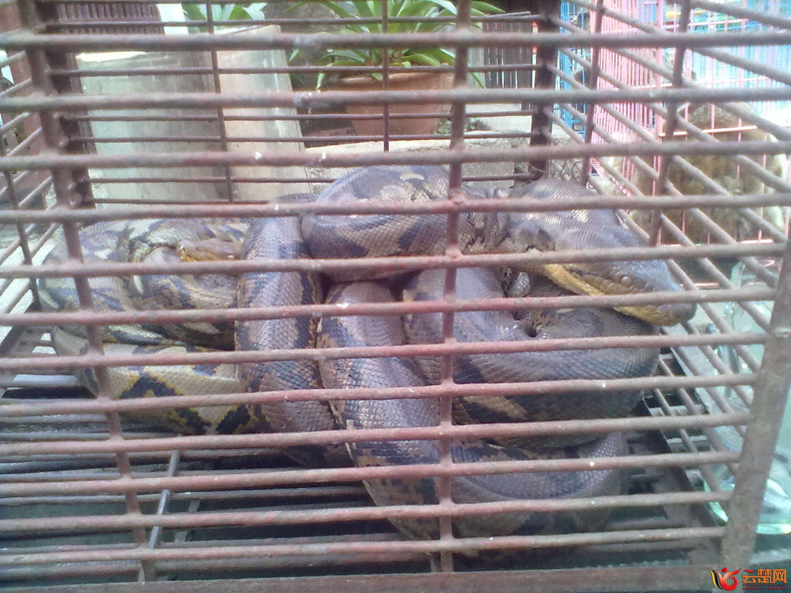 20120406081.jpg