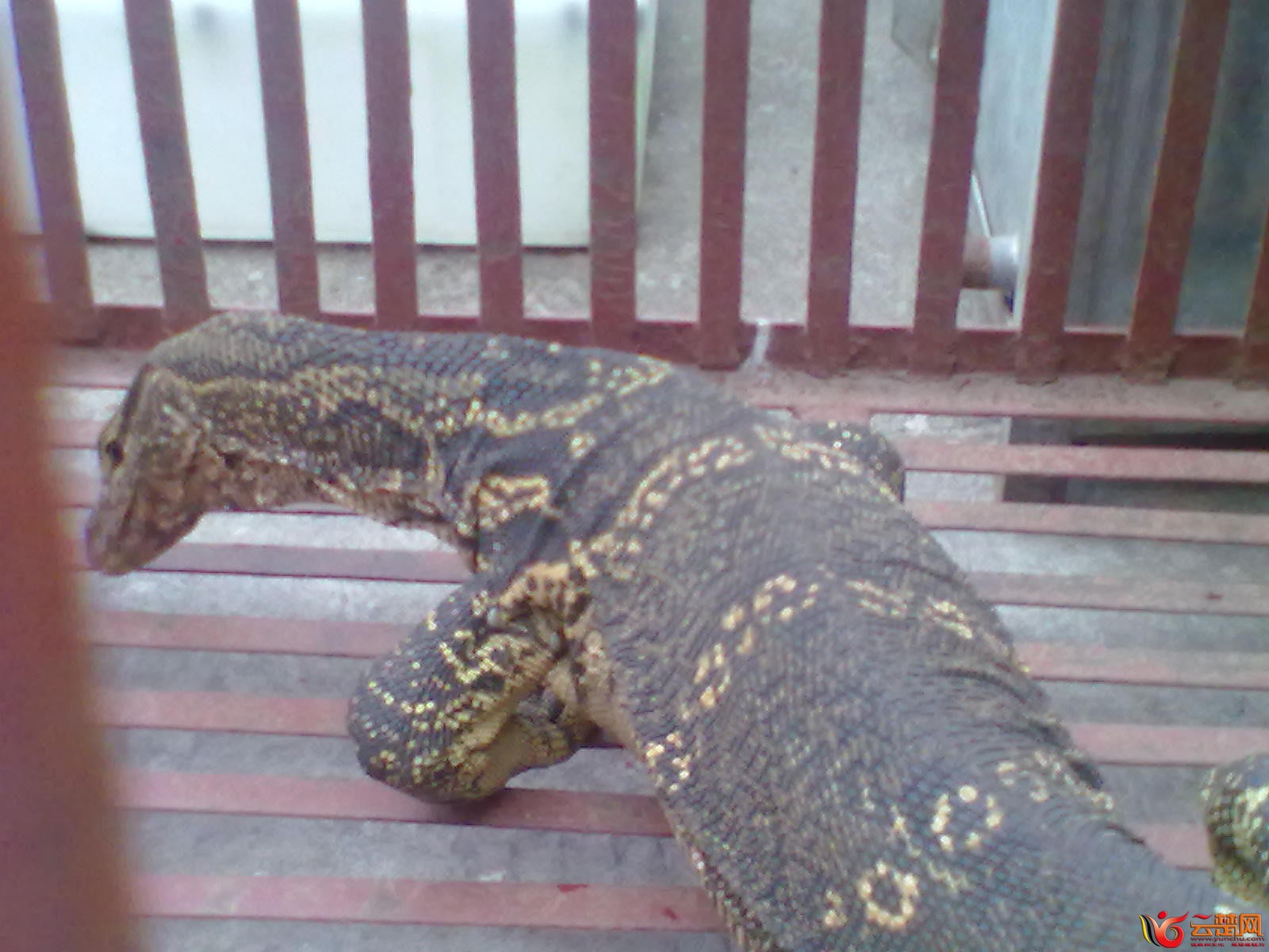 20120406083.jpg