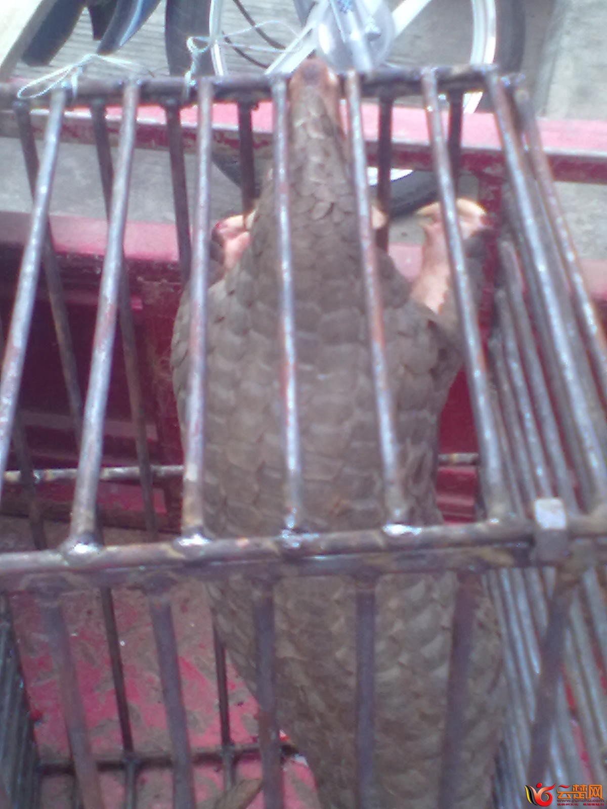 20120406084.jpg