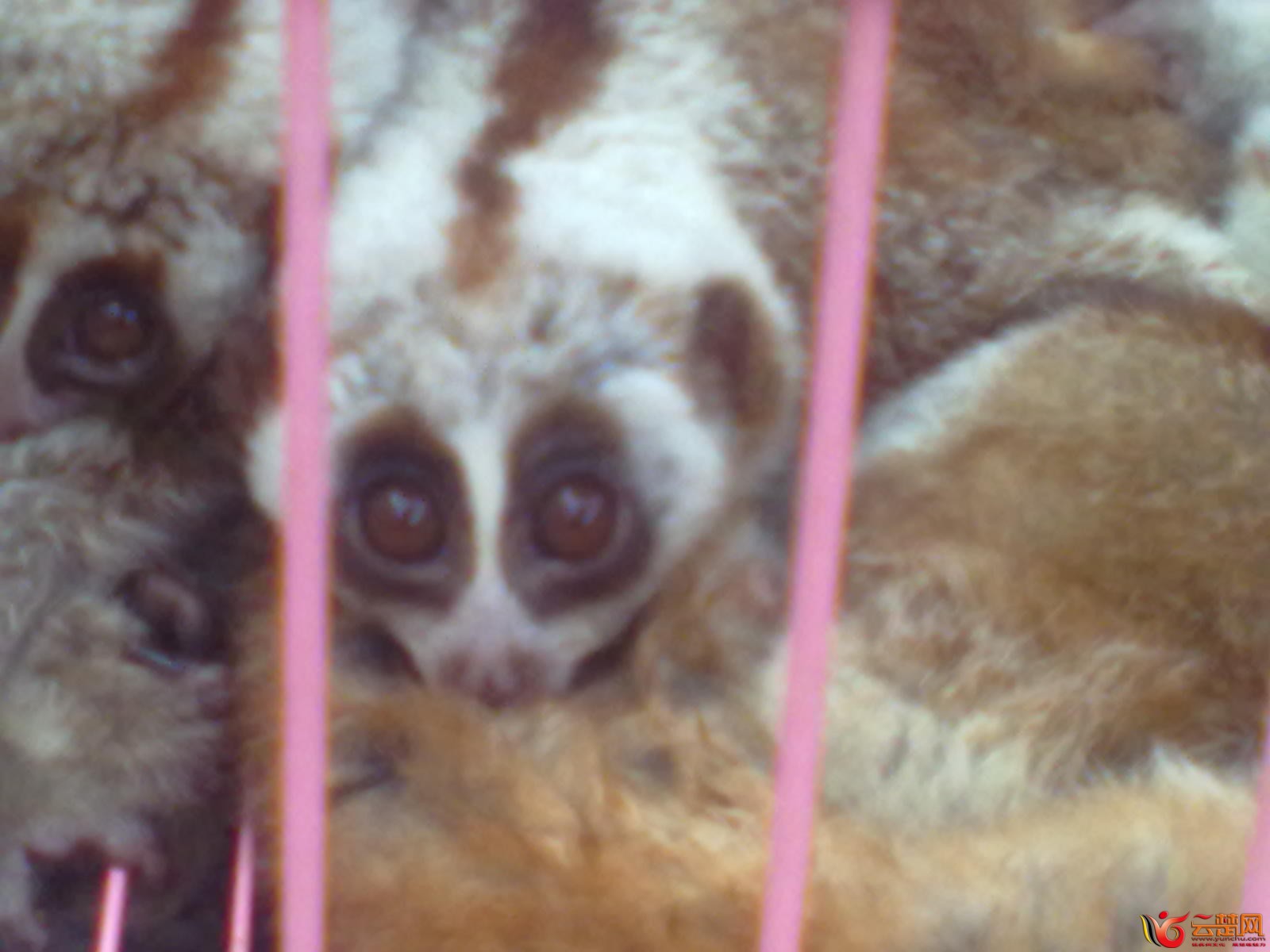 20120406085.jpg