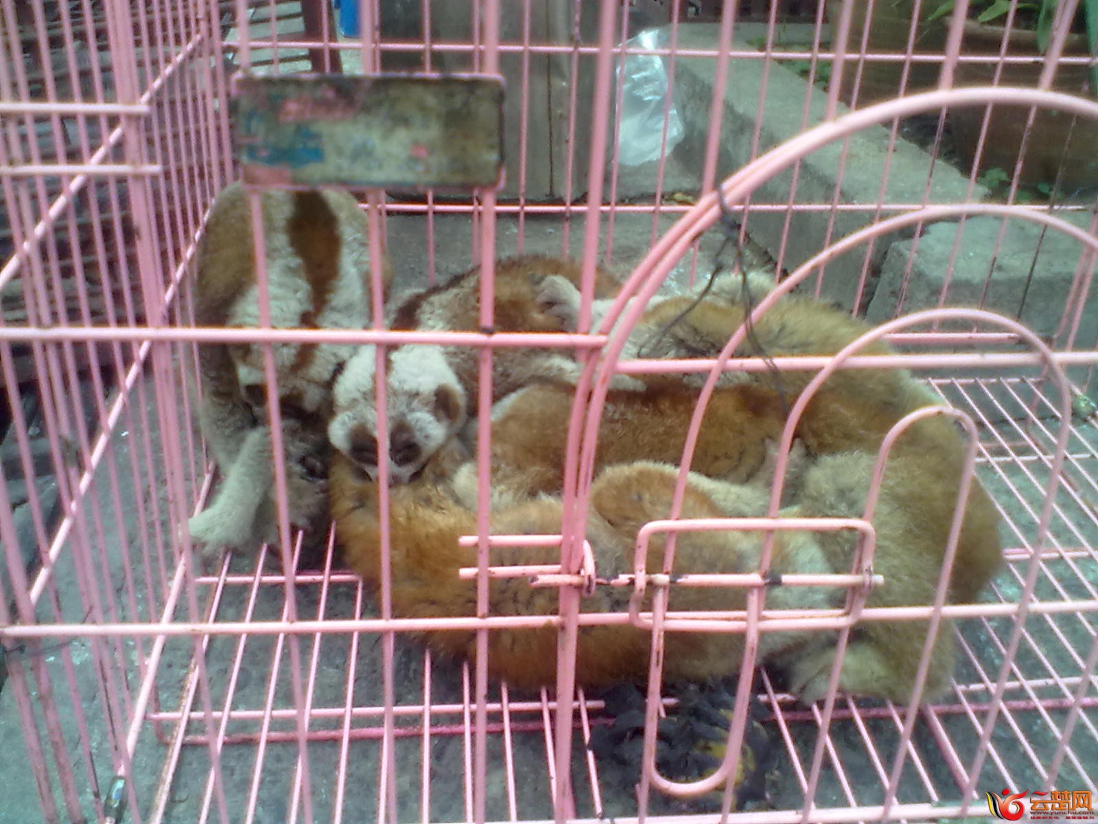 20120406086.jpg