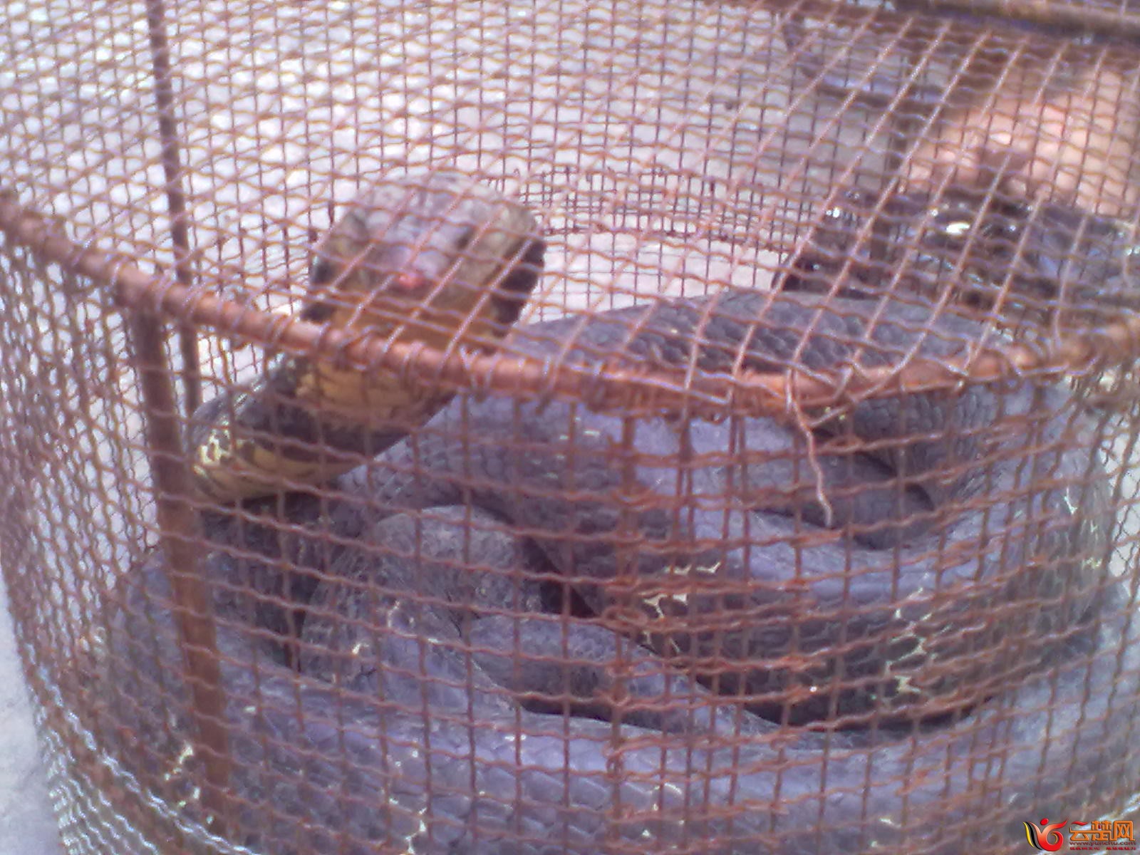 20120406087.jpg