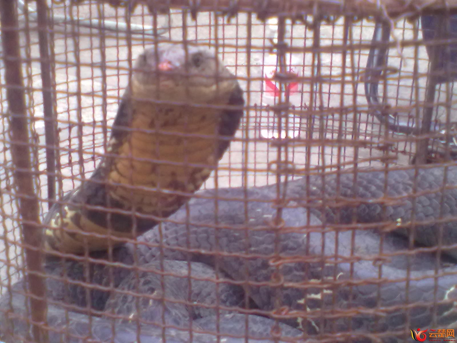 20120406088.jpg