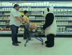 未命名.gif