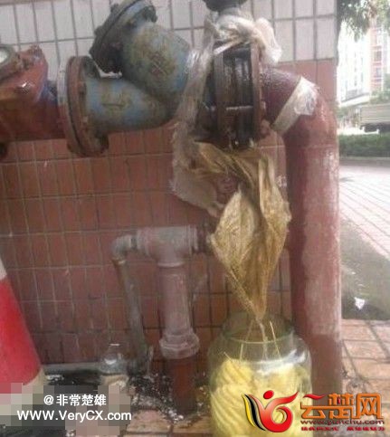 170053fcm76t6hvvsc6mfo.jpg