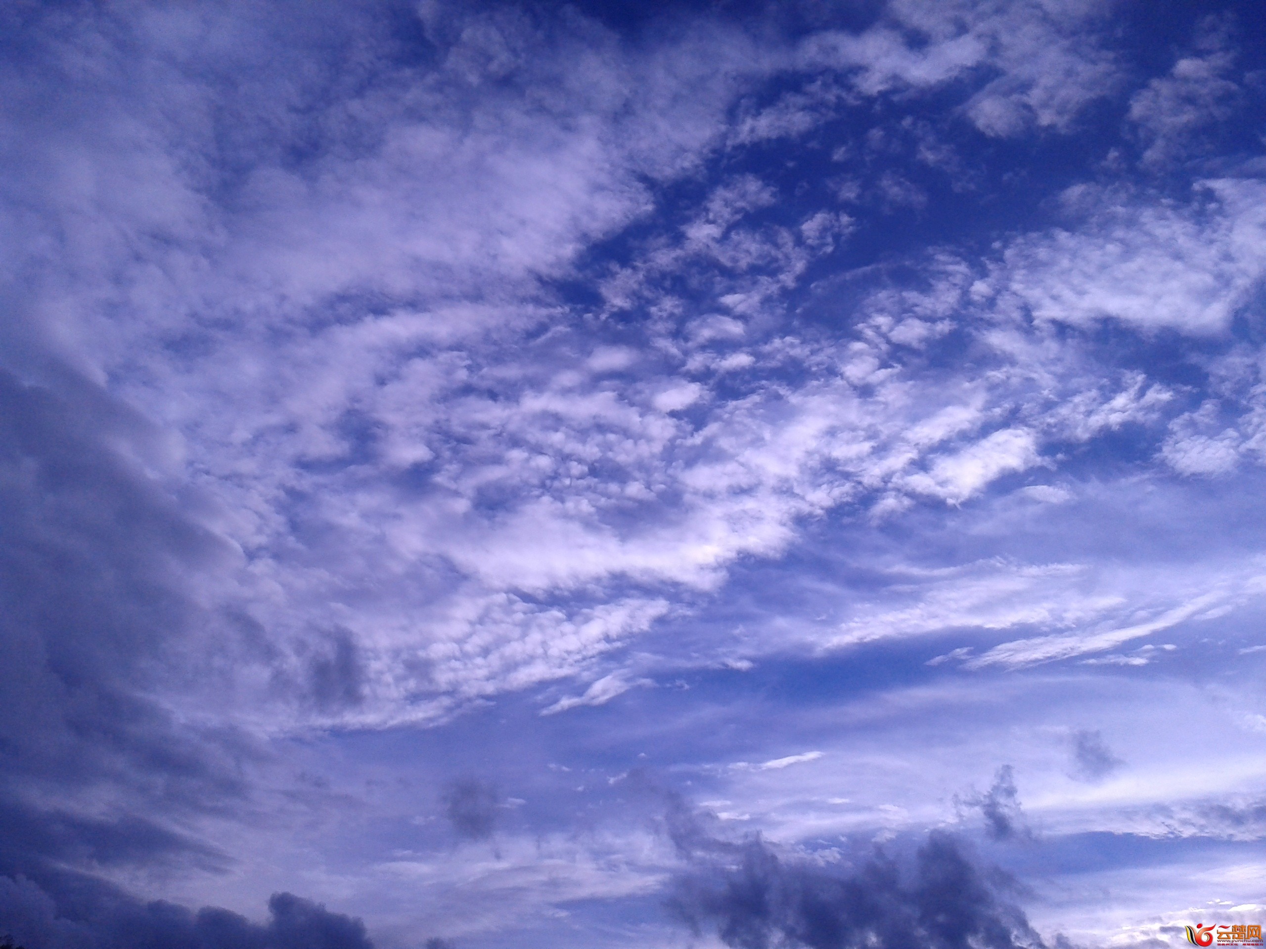 2012-07-04 19.35.43.jpg
