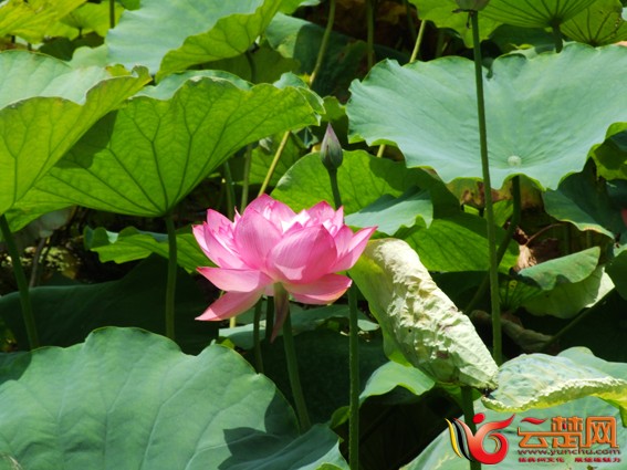 DSCF5445.JPG