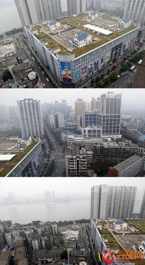 城管呢,城管~