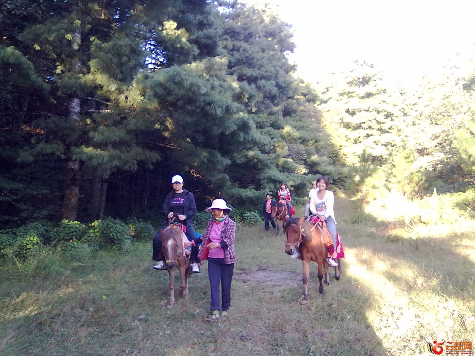 20121005168.jpg