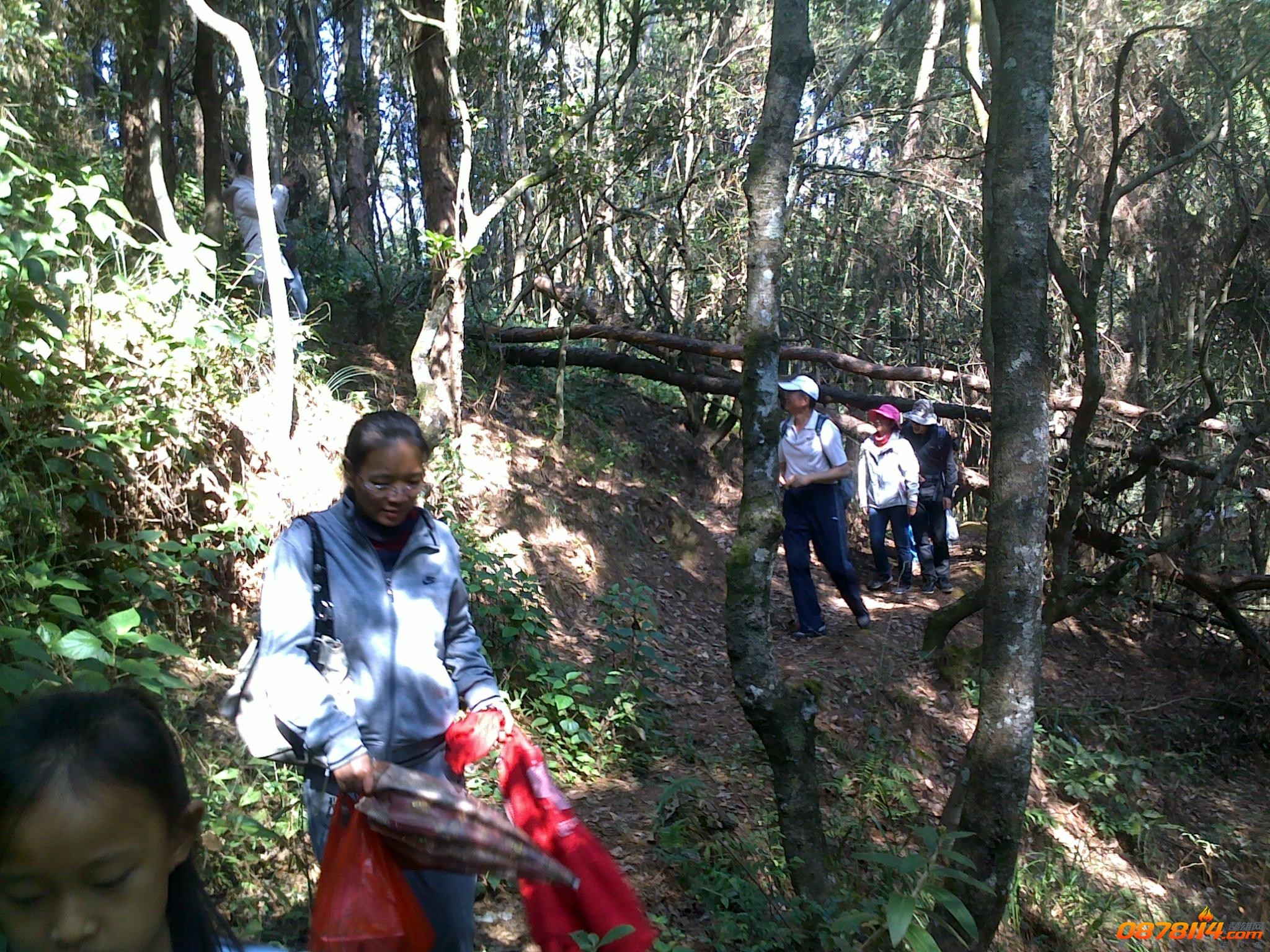 201211172751.jpg