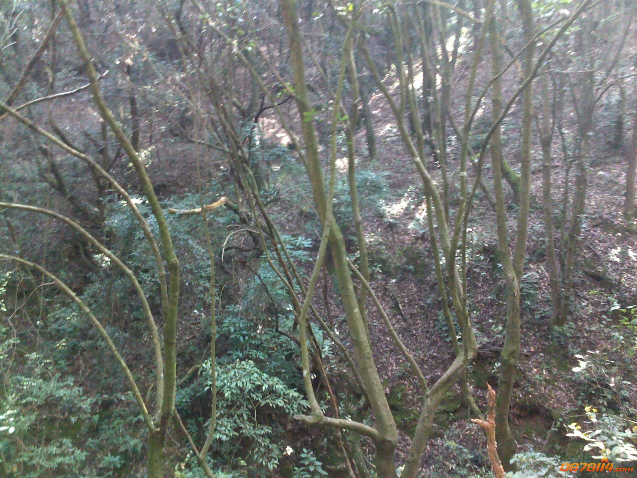 201211172756.jpg