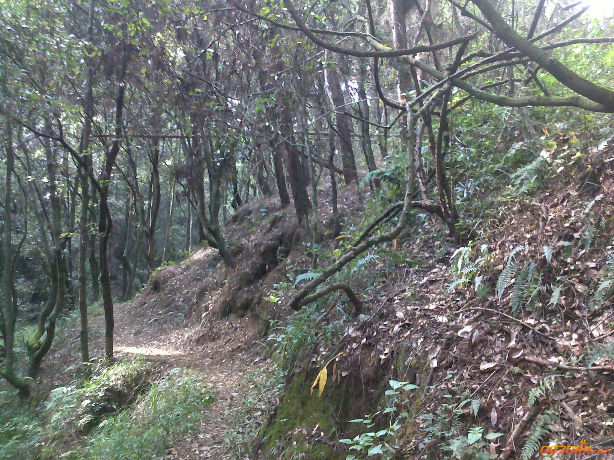 201211172757.jpg