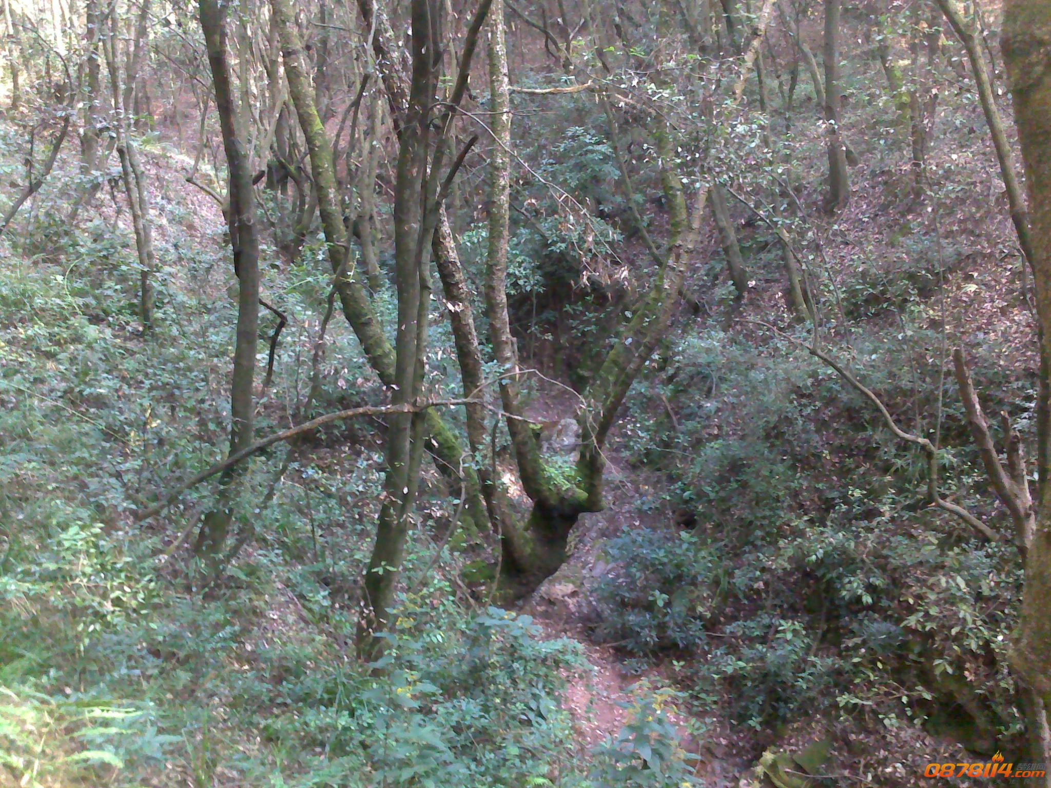 201211172758.jpg