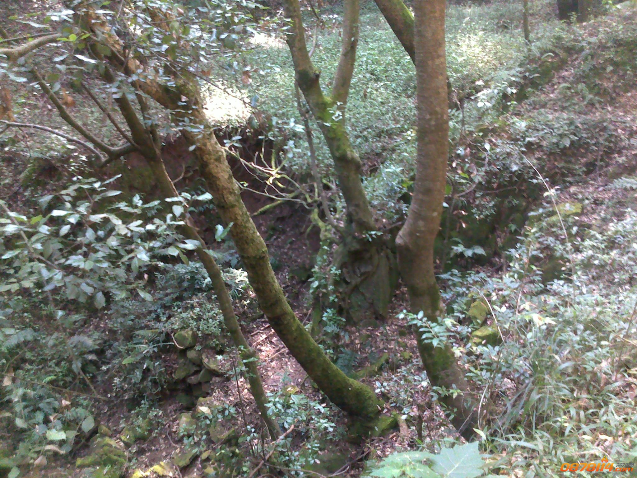 201211172759.jpg