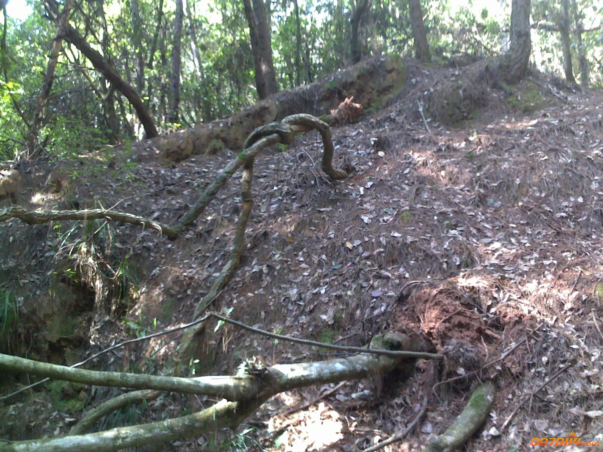201211172761.jpg