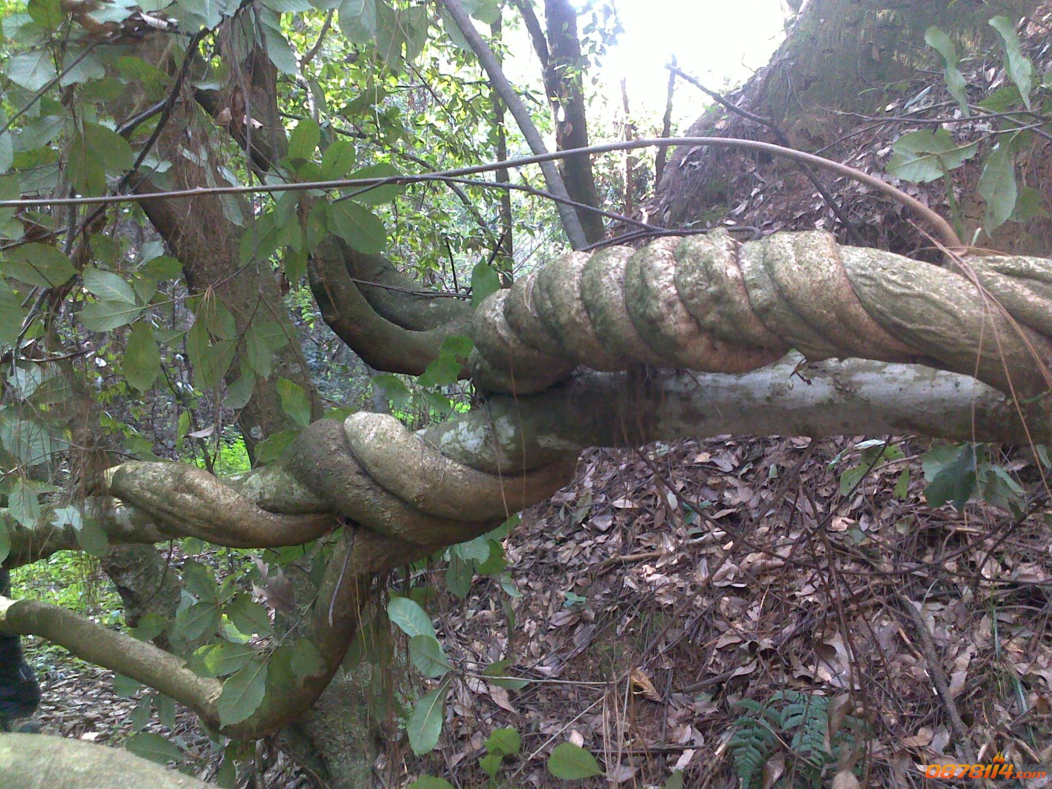 201211172763.jpg