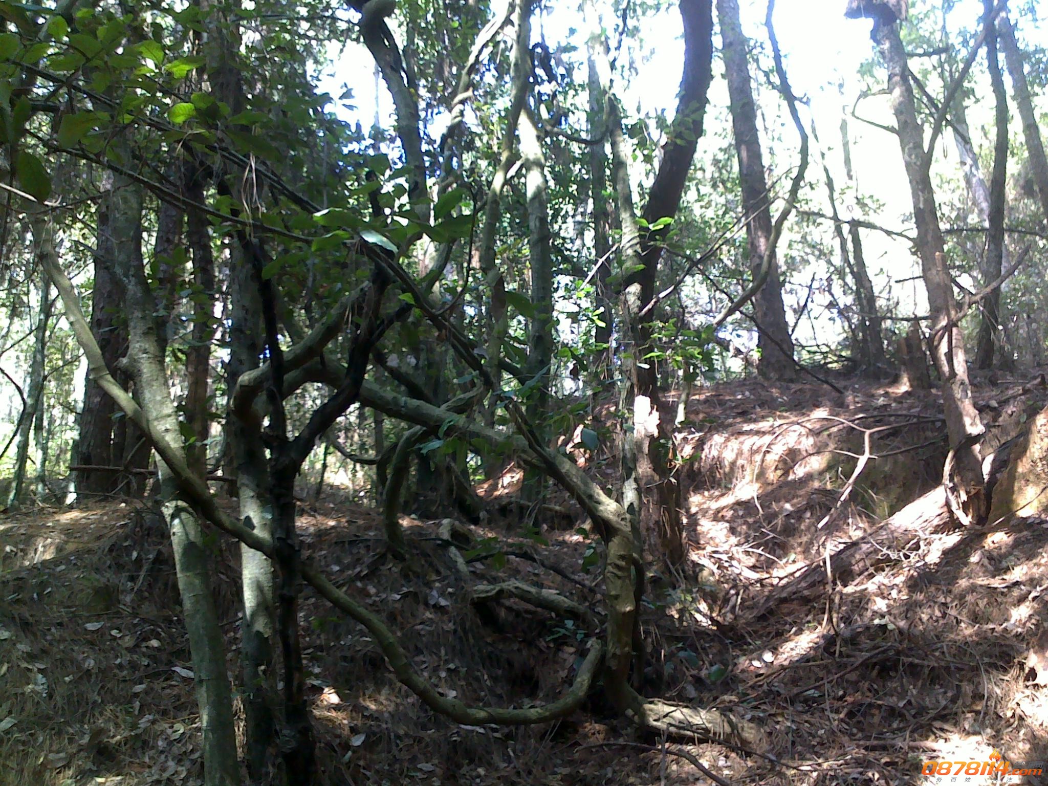 201211172764.jpg