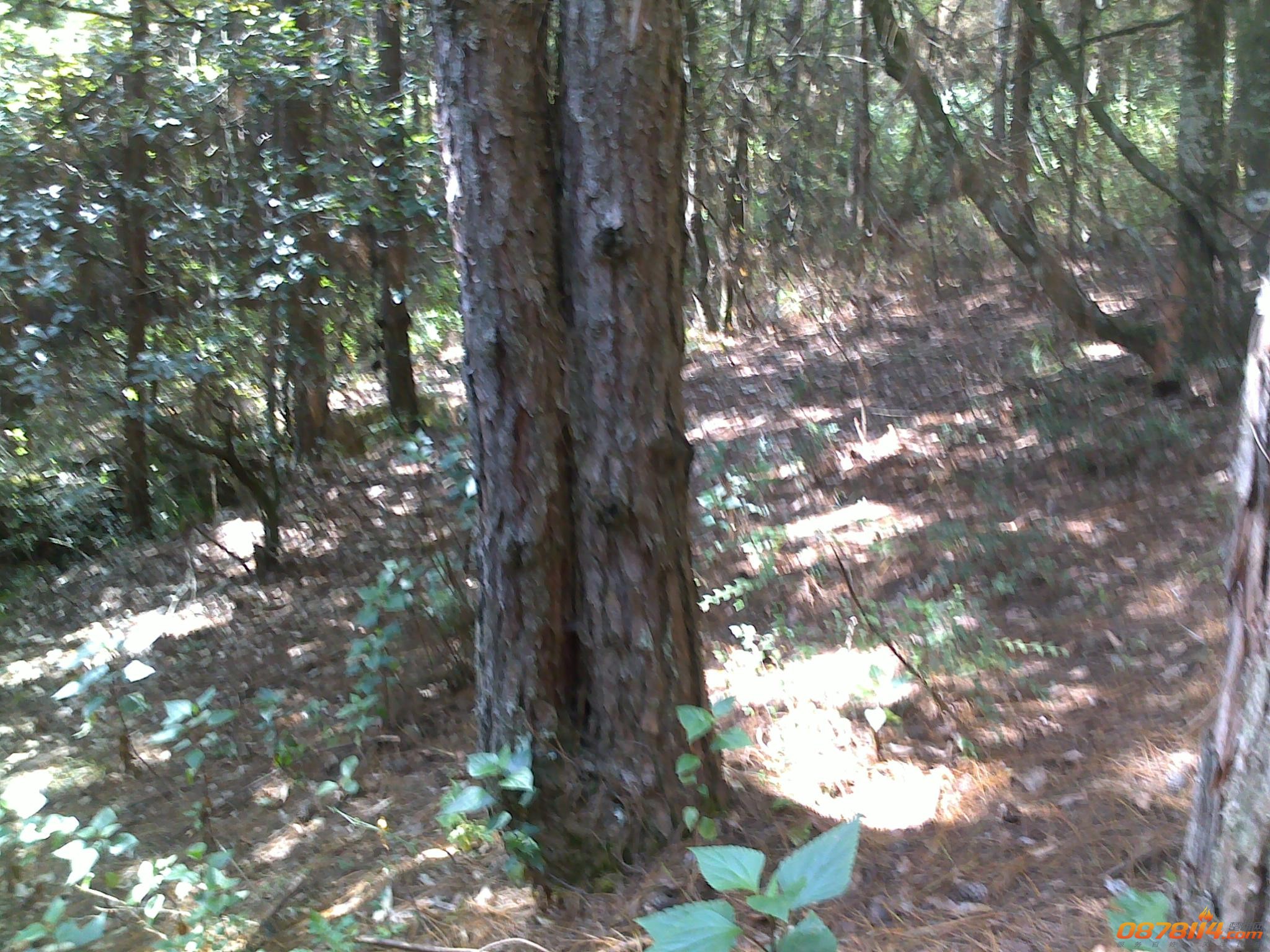 201211172766.jpg