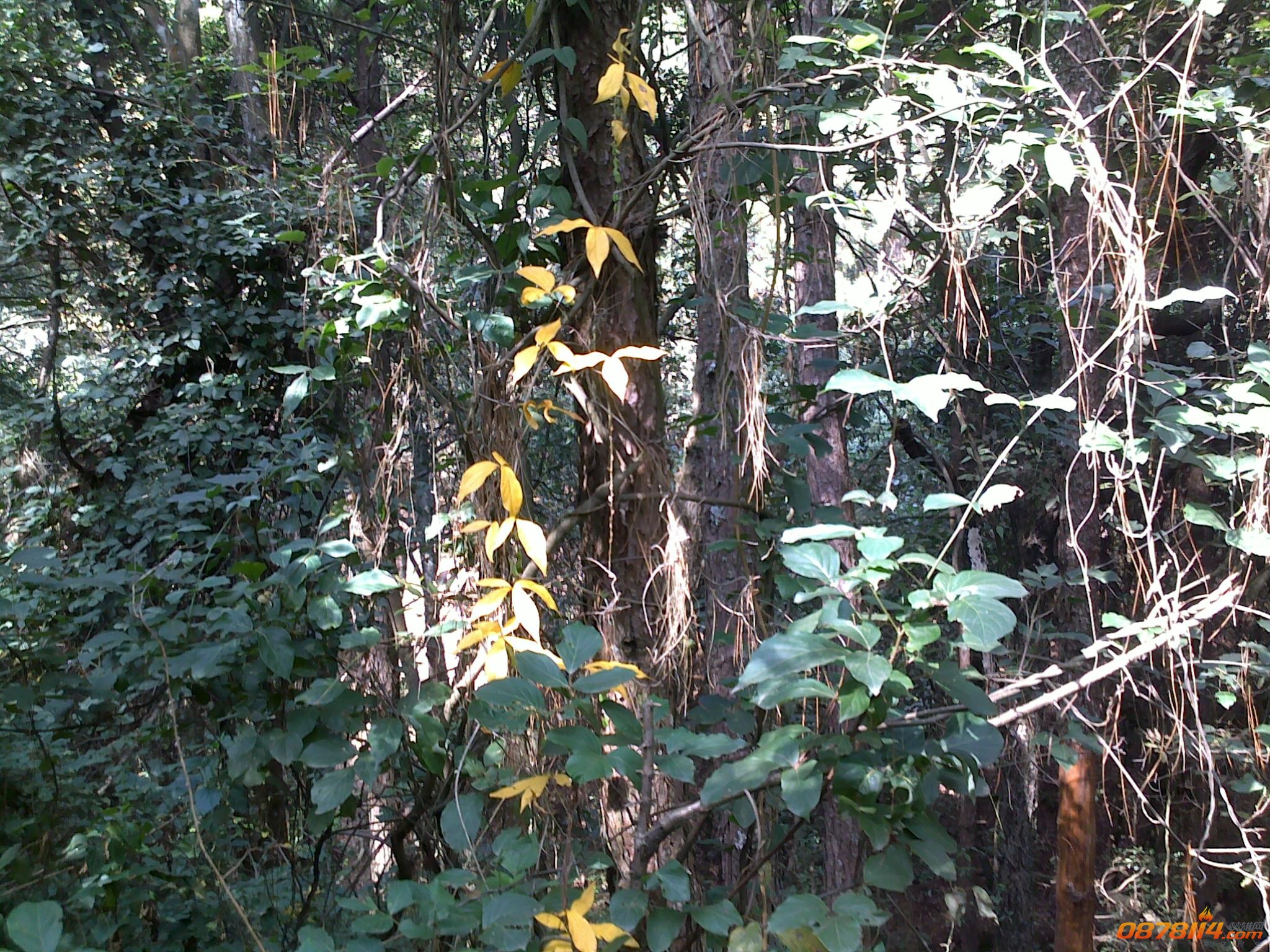 201211172770.jpg