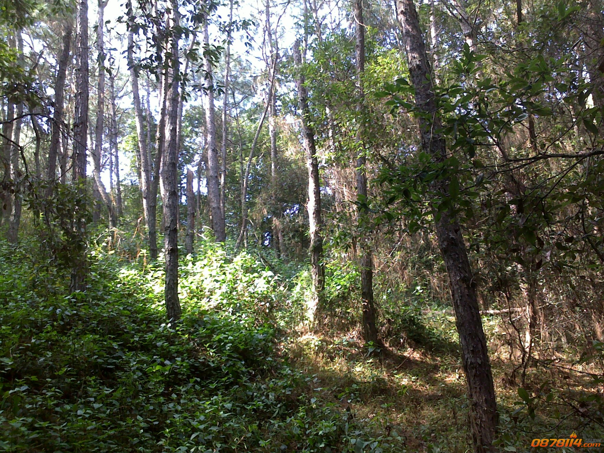 201211172772.jpg